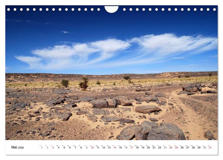 Produktbild: Sch&ouml;ne W&uuml;ste (Wandkalender 2026 DIN A4 quer), CALVENDO Monatskalender