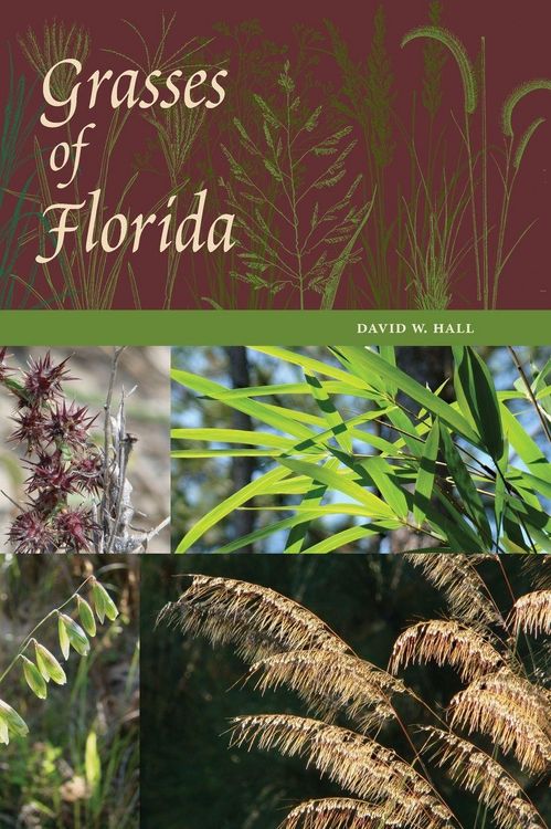 Produktbild: Grasses of Florida