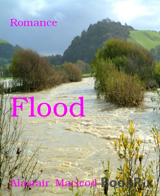 Produktbild: Flood