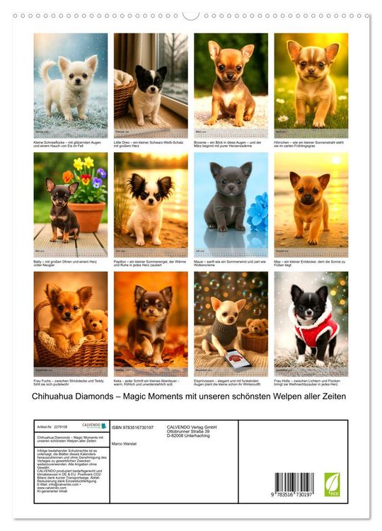 Produktbild: Chihuahua Diamonds &ndash; Magic Moments mit unseren sch&ouml;nsten Welpen aller Zeiten (hochwertiger Premium Wandkalender 2026 DIN A2 hoch), Kunstdruck in Hochglanz