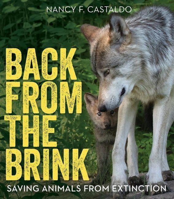 Produktbild: Back from the Brink