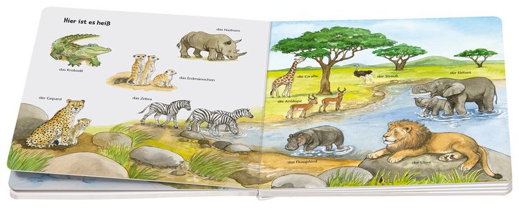 Produktbild: Ministeps: Mein allererstes Tierlexikon