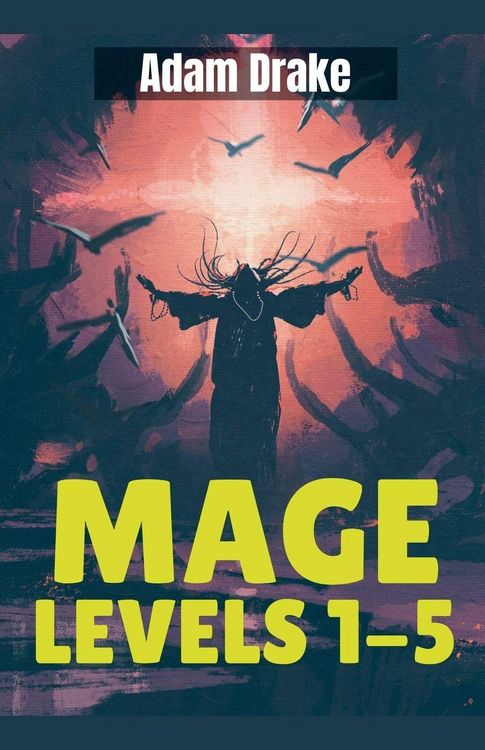 Produktbild: Mage Levels 1-5