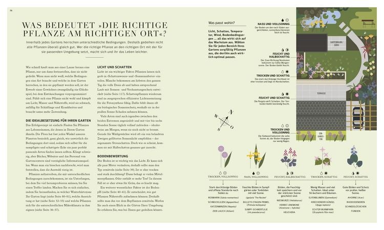 Produktbild: 100 Fragen und Antworten zum G&auml;rtnern