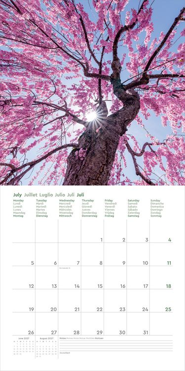 Produktbild: Aufgebl&uuml;ht - KUNTH Broschurkalender 2027