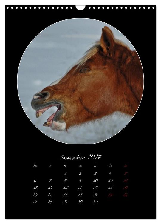 Produktbild: Crazy horses (Wandkalender 2027 DIN A3 hoch), CALVENDO Monatskalender