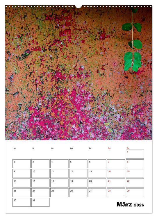 Produktbild: Mauerbl&uuml;mchen - Poesie im Allt&auml;glichen als Monatsplaner (Wandkalender 2026 DIN A2 hoch), CALVENDO Monatskalender