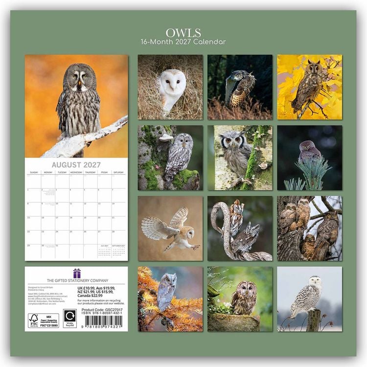 Produktbild: Owls &ndash; Eulen 2027 &ndash; 16-Monatskalender