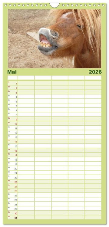 Produktbild: Familienplaner 2026 - Ponys. Herzensbrecher mit Grips mit 5 Spalten (Wandkalender, 21 x 45 cm) CALVENDO