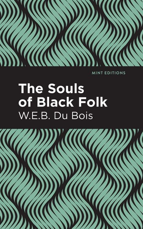 Produktbild: The Souls of Black Folk