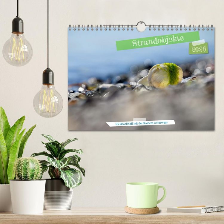 Produktbild: Strandobjekte (Wandkalender 2026 DIN A4 quer), CALVENDO Monatskalender