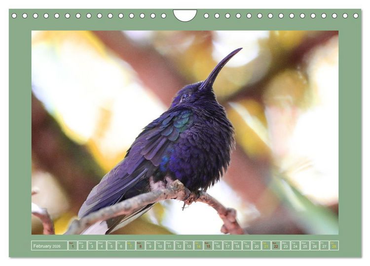 Produktbild: Some Costa Rican Birds (Wall Calendar 2026 DIN A4 landscape), CALVENDO 12 Month Wall Calendar