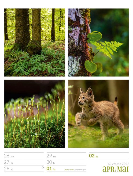 Produktbild: Farben der Natur Wochenplaner Kalender 2027