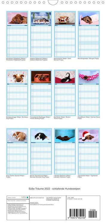 Produktbild: Familienplaner S&uuml;&szlig;e Tr&auml;ume 2022 - schlafende Hundewelpen (Wandkalender 2022 , 21 cm x 45 cm, hoch)