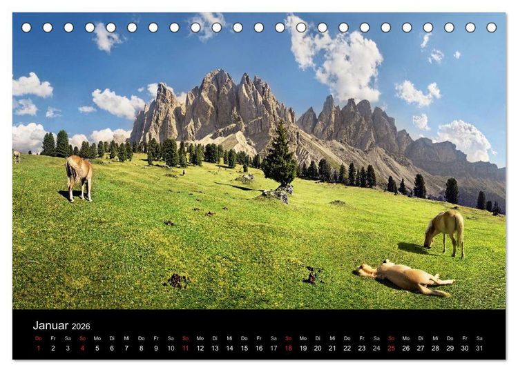 Produktbild: Wundersch&ouml;ne Haflingerwelt (Tischkalender 2026 DIN A5 quer), CALVENDO Monatskalender