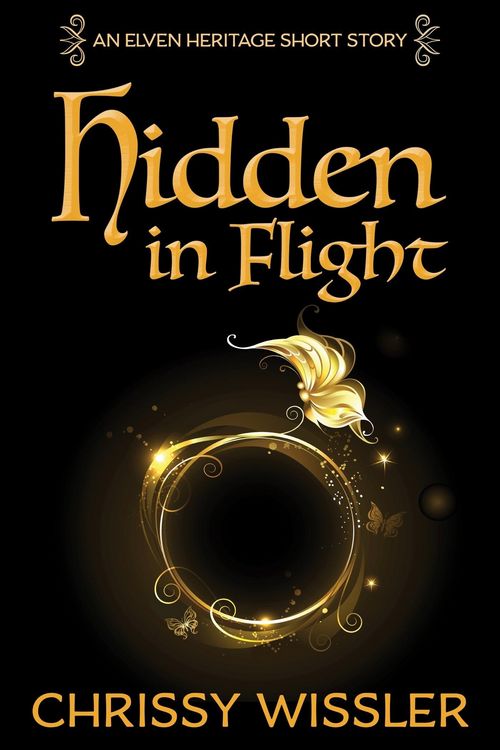Produktbild: Hidden in Flight