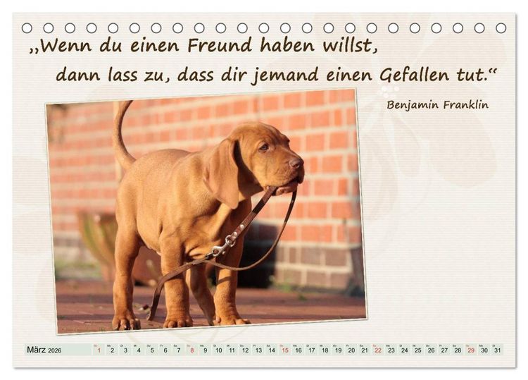 Produktbild: Mit Hundezitaten gut durchs Jahr (Tischkalender 2026 DIN A5 quer), CALVENDO Monatskalender