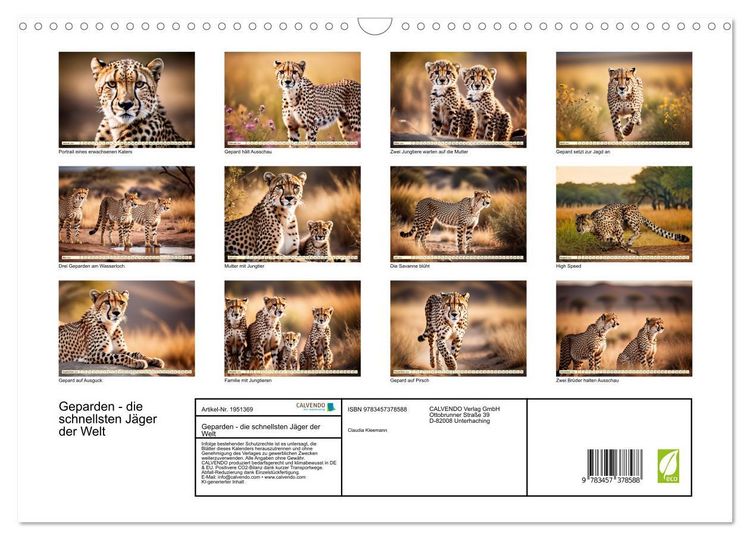 Produktbild: Geparden - die schnellsten J&auml;ger der Welt (Wandkalender 2026 DIN A3 quer), CALVENDO Monatskalender
