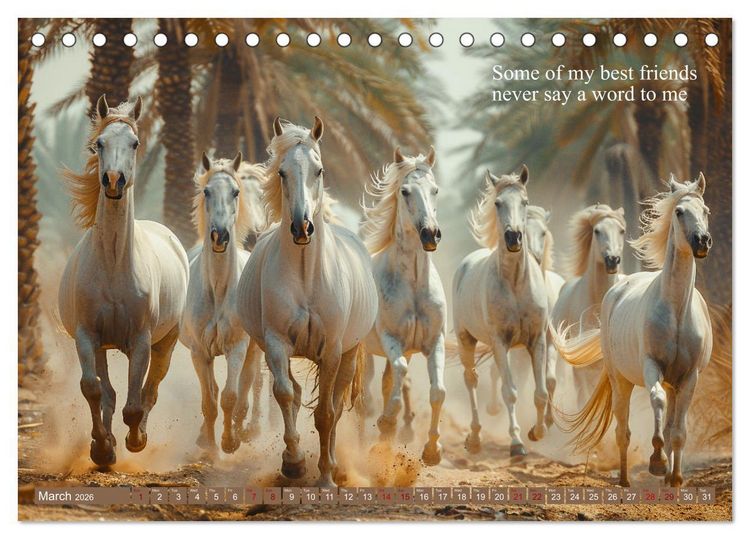 Produktbild: A Horse Makes You Complete (Desk Calendar 2026 DIN A5 landscape), CALVENDO 12 Month DeskCalendar