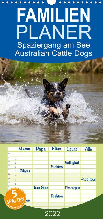 Produktbild: Spaziergang am See Australian Cattle Dogs - Familienplaner hoch (Wandkalender 2022 , 21 cm x 45 cm, hoch)