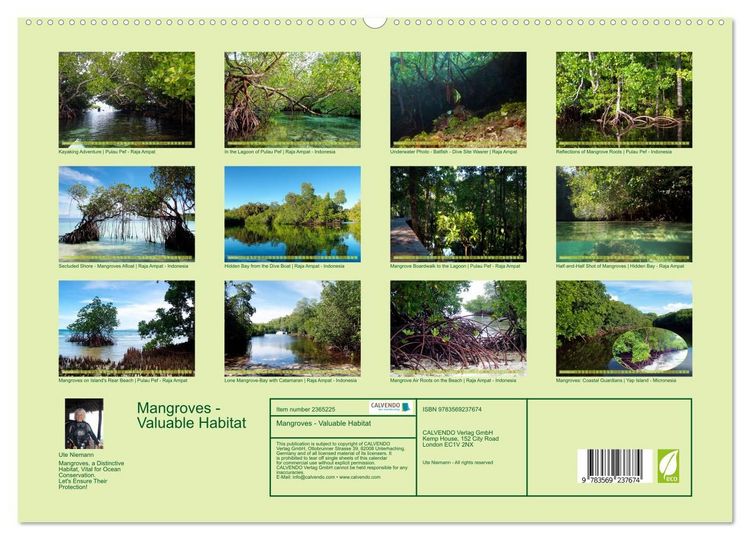Produktbild: Mangroves - Valuable Habitat (High Quality Premium Wall Calendar 2027 DIN A2 landscape),CALVENDO 12 Month Wall Calendar
