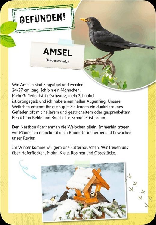 Produktbild: Expedition Natur Tierische Berufe raten