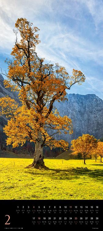 Produktbild: Trees 2024