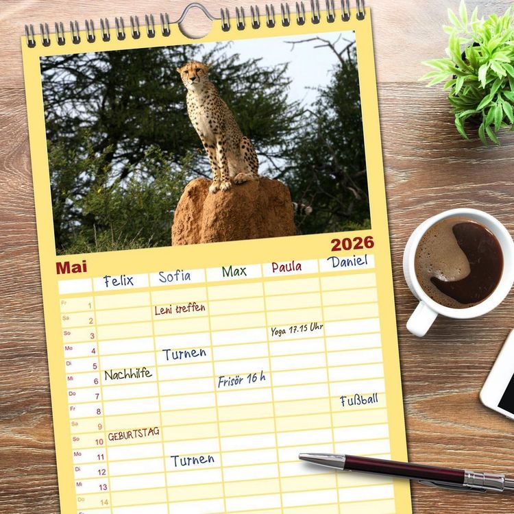 Produktbild: Familienplaner 2026 - Geparden - Begegnungen in Afrika mit 5 Spalten (Wandkalender, 21 x 45 cm) CALVENDO