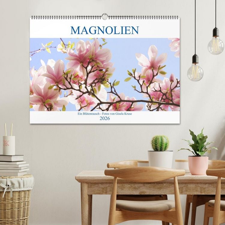 Produktbild: Magnolien Ein Bl&uuml;tenrausch (Wandkalender 2026 DIN A2 quer), CALVENDO Monatskalender