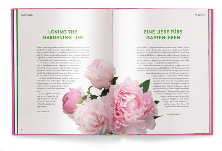 Produktbild: Floramour: Peonies