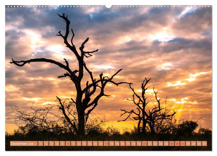 Produktbild: Eswatini - K&ouml;nigreich im s&uuml;dlichen Afrika (Wandkalender 2026 DIN A2 quer), CALVENDO Monatskalender