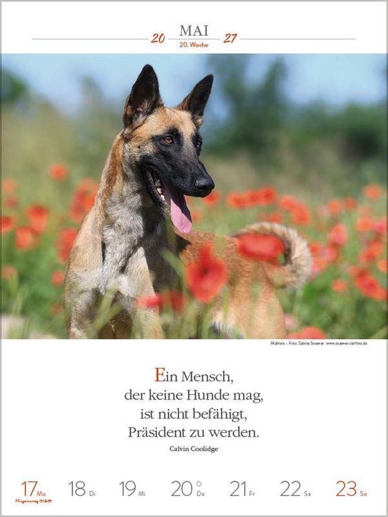 Produktbild: Literaturkalender Hunde 2027