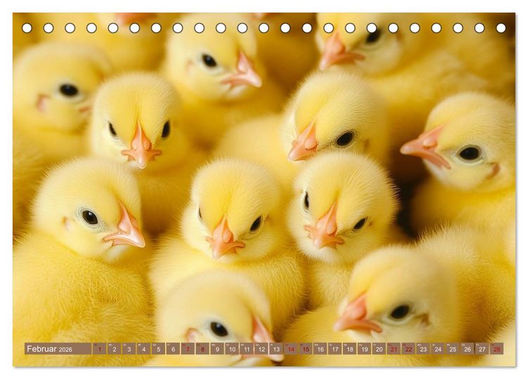 Produktbild: Kuschelblicke (Tischkalender 2026 DIN A5 quer), CALVENDO Monatskalender