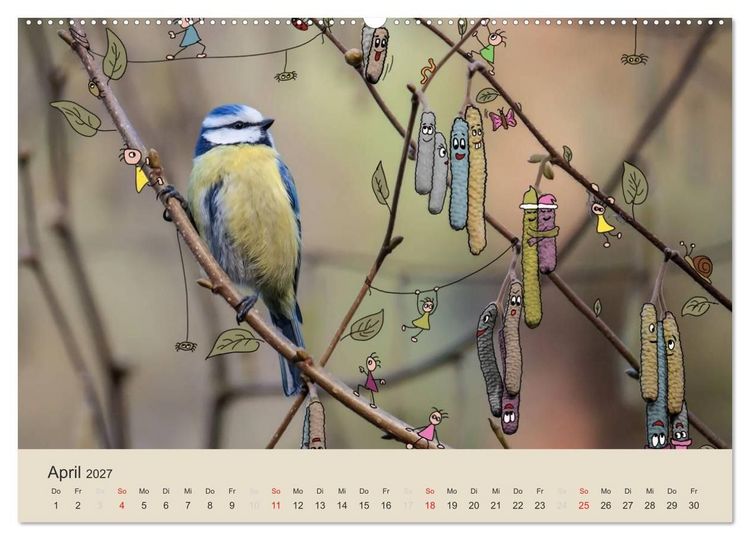 Produktbild: Das Leben der kleinen Pankies (hochwertiger Premium Wandkalender 2027 DIN A2 quer), Kunstdruck in Hochglanz