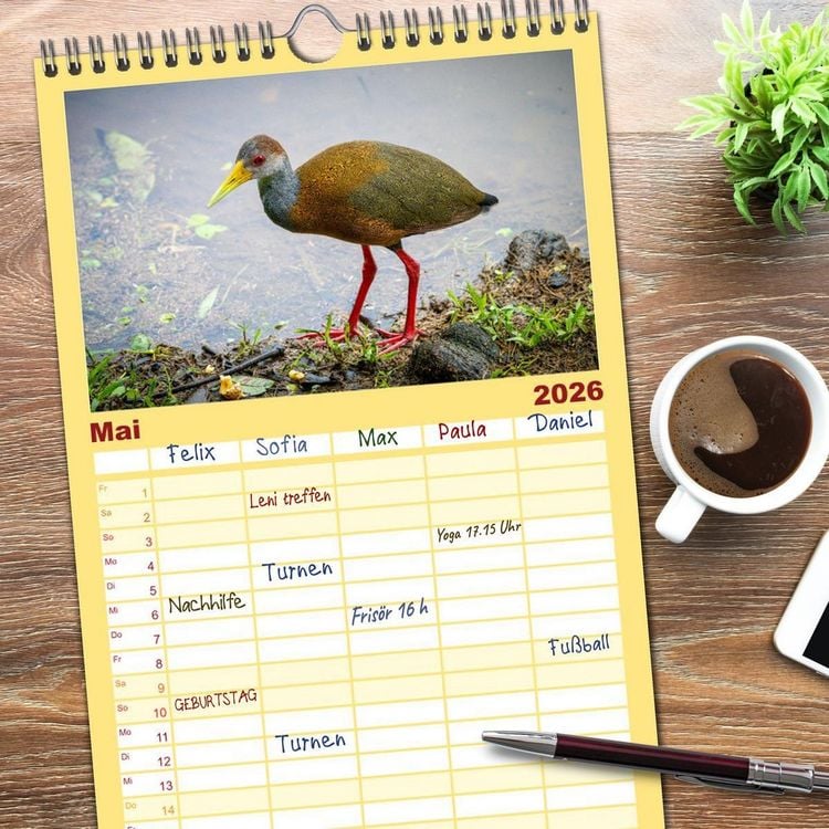 Produktbild: Familienplaner 2026 - Phantastische Vogelwelt Costa Rica mit 5 Spalten (Wandkalender, 21 x 45 cm) CALVENDO