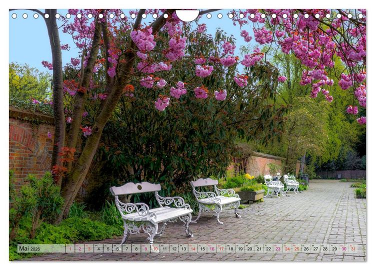 Produktbild: Schlossgarten Oldenburg. Ein Fotospaziergang (Wandkalender 2026 DIN A4 quer), CALVENDO Monatskalender