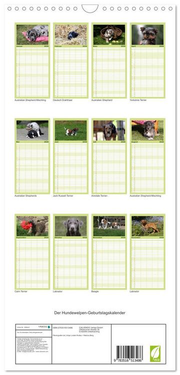 Produktbild: Familienplaner 2026 - Der Hundewelpen-Geburtstagskalender mit 5 Spalten (Wandkalender, 21 x 45 cm) CALVENDO