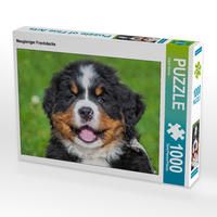 Produktbild: CALVENDO Puzzle Neugieriger Frechdachs | 1000 Teile Lege-Gr&ouml;&szlig;e 64x48cm Foto-Puzzle f&uuml;r gl&uuml;ckliche Stunden