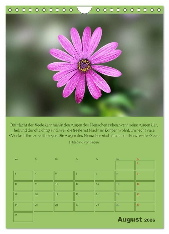 Produktbild: Erkenntnis und Weisheit - Hildegard von Bingen (Wandkalender 2026 DIN A4 hoch), CALVENDO Monatskalender