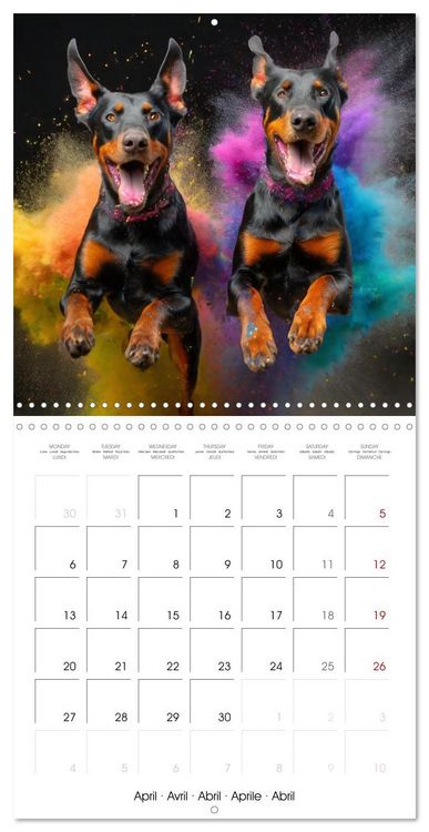 Produktbild: Dynamic Duo - Two Paws, One Leap (Wall Calendar 2026 12 &times; 12 Inch) CALVENDO 12 Month Wall Calendar