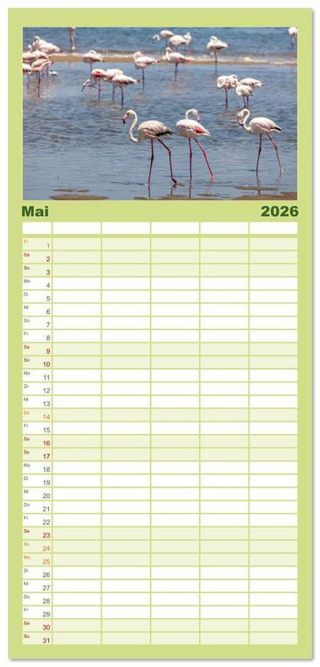 Produktbild: Familienplaner 2026 - Afrika - Namibia mit 5 Spalten (Wandkalender, 21 x 45 cm) CALVENDO