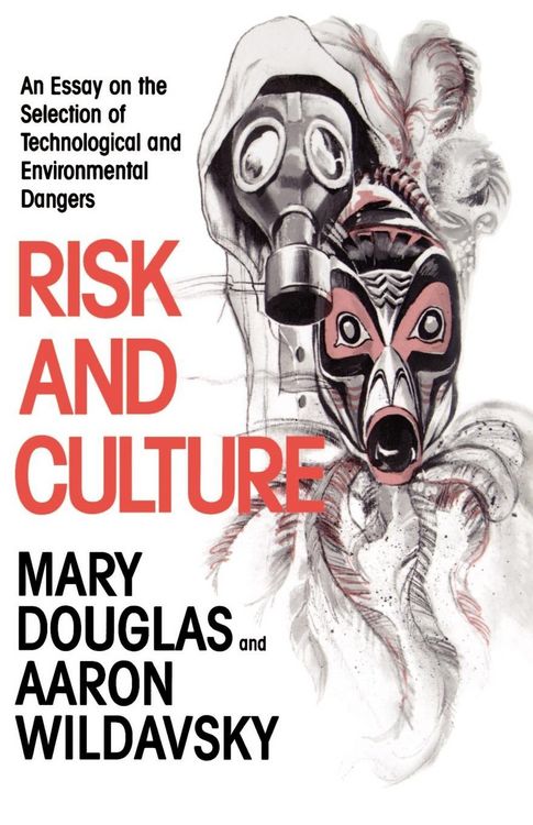 Produktbild: Risk and Culture