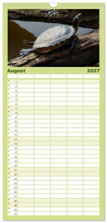 Produktbild: Familienplaner 2027 - Das Leben der Schildkr&ouml;ten mit 5 Spalten (Wandkalender, 21 x 45 cm) CALVENDO