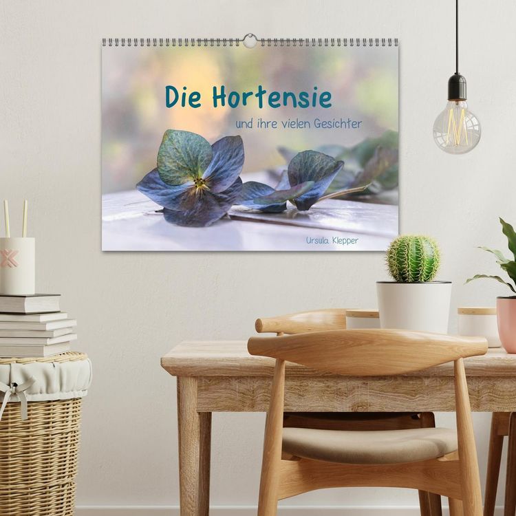 Produktbild: Die Hortensie und ihre vielen Gesichter (Wandkalender 2026 DIN A3 quer), CALVENDO Monatskalender