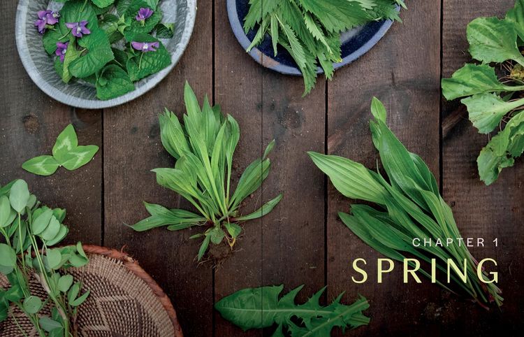 Produktbild: Herbs in Every Season