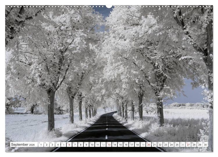Produktbild: Zauberhafte Infrarot-Fotografie (hochwertiger Premium Wandkalender 2026 DIN A2 quer), Kunstdruck in Hochglanz