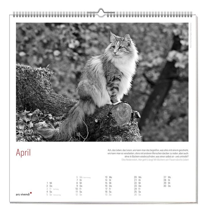Produktbild: Der grosse literarische Katzen Kalender 2027