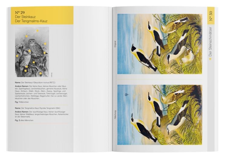 Produktbild: Finde den Fehler &ndash; 40 Meisterwerke der Vogel-Malerei