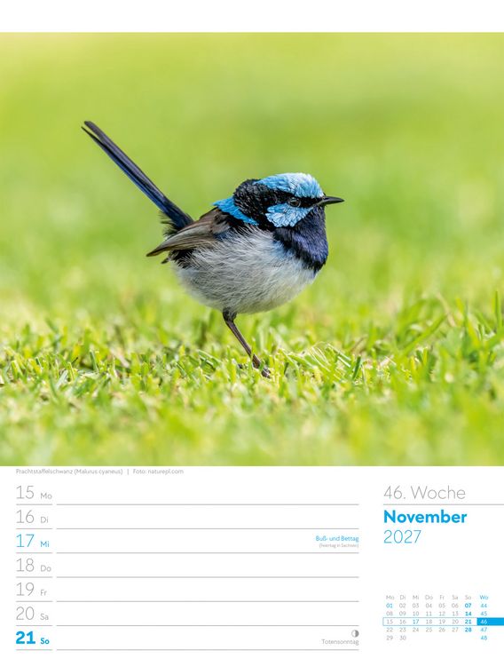 Produktbild: V&ouml;gel Wochenplaner Kalender 2027