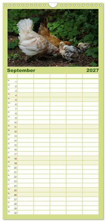 Produktbild: Familienplaner 2027 - Die Welt der H&uuml;hner mit 5 Spalten (Wandkalender, 21 x 45 cm) CALVENDO